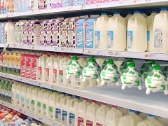 Разновидности молока
