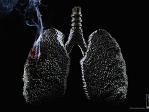 Влияние курения на организм человека